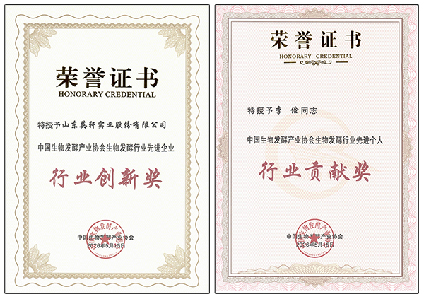 荣誉证书拼图.jpg